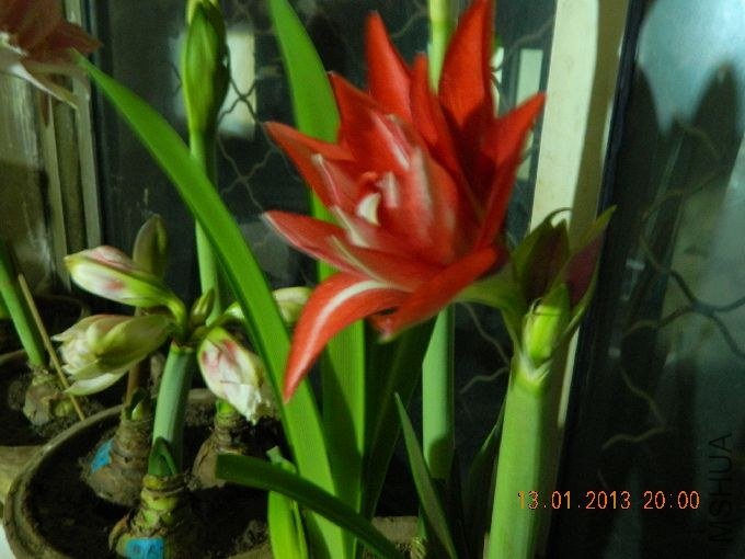 s680_��Ƭ 152.jpg