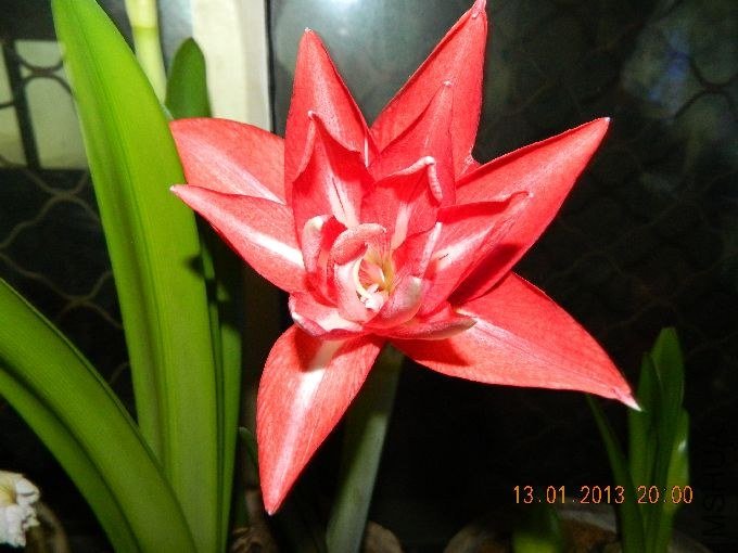 s680_��Ƭ 154.jpg