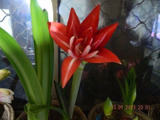 s680_��Ƭ 156.jpg