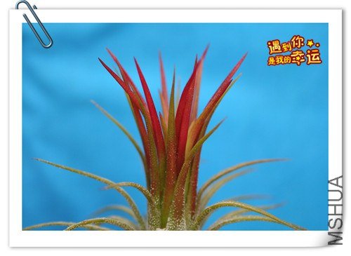 ��Ƭ 006_����.jpg