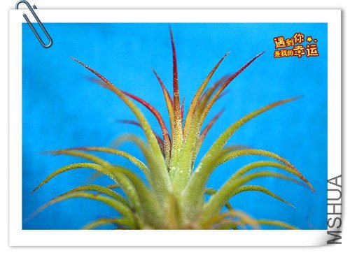 ��Ƭ 001_����.jpg