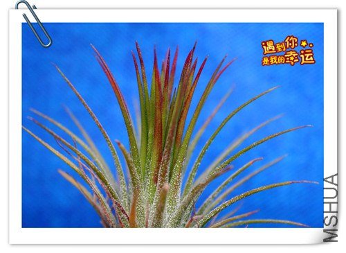 ��Ƭ 004_����.jpg