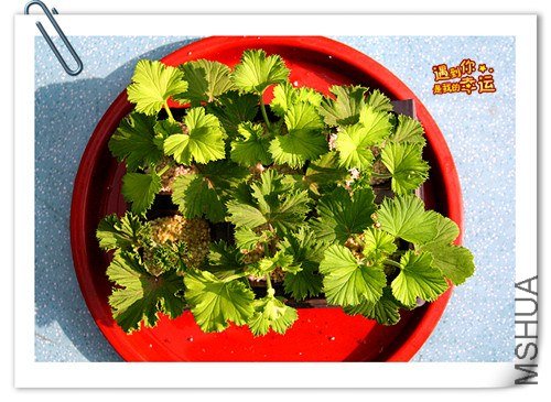 ��Ƭ 089_����.jpg