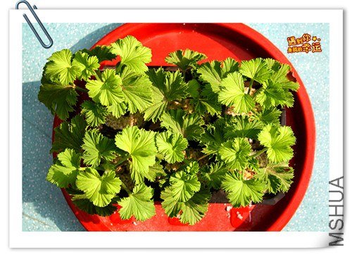 ��Ƭ 087_����.jpg