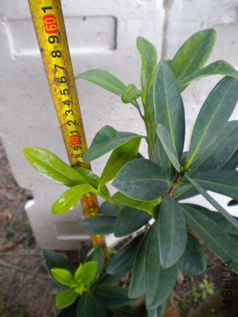 DSCN5121.JPG