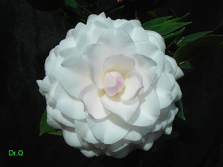 0114-b.JPG