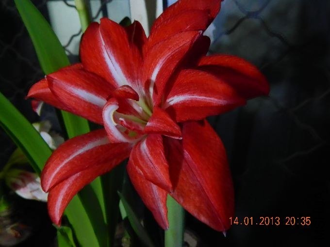 s680_��Ƭ 176.jpg