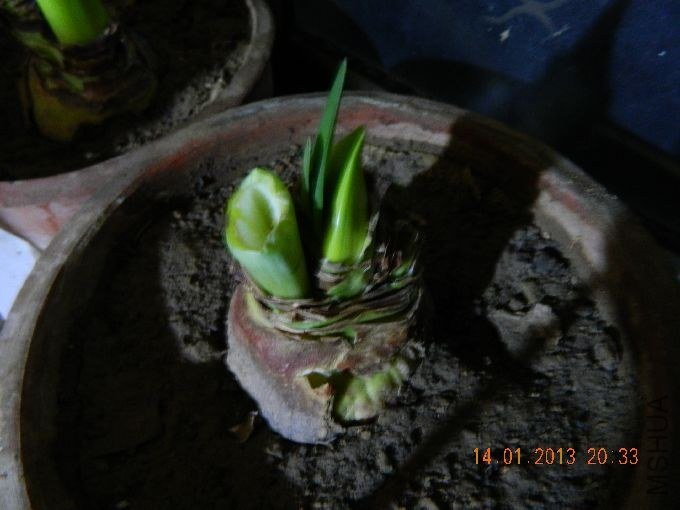 s680_��Ƭ 172.jpg