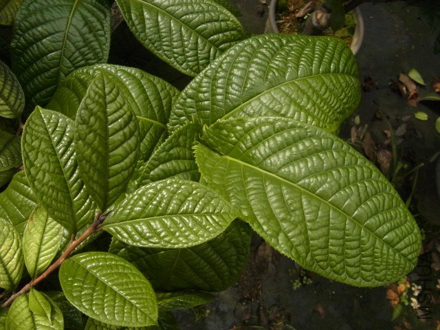 ���} ���S���J