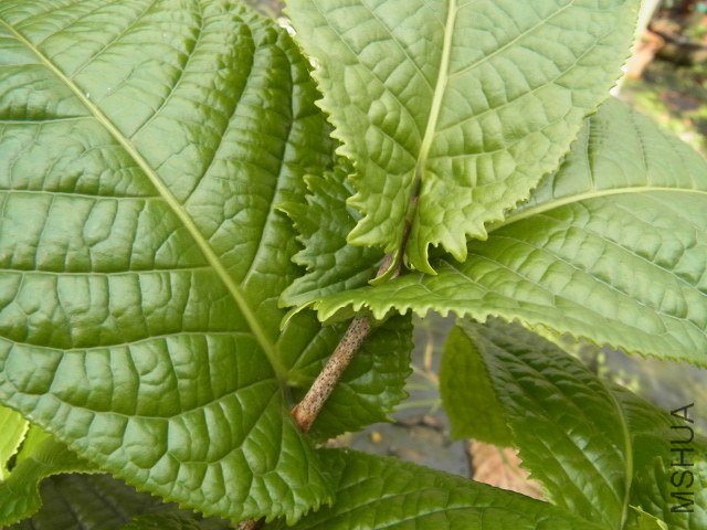 �S���J�~ �~Ƭ�ش�