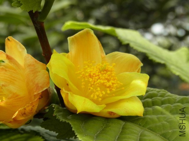 �S���J��.���S.�ΰ�������.����6��7���� 