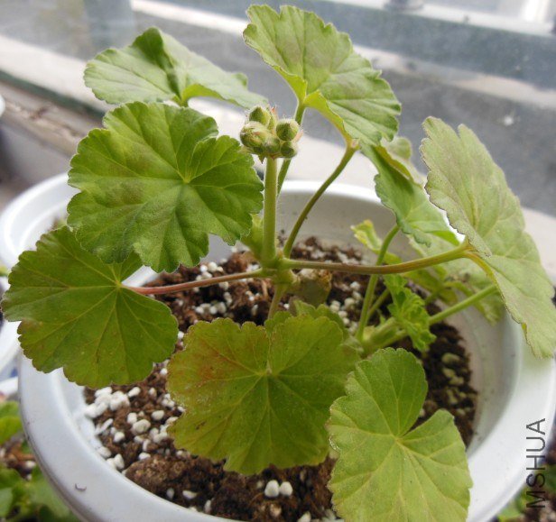 QQ��ͼ20130115082409.jpg