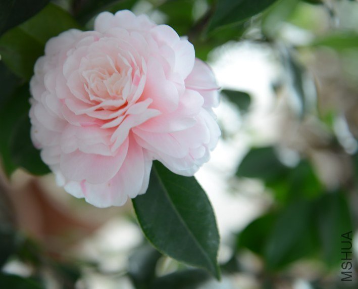 DSC_0362.JPG