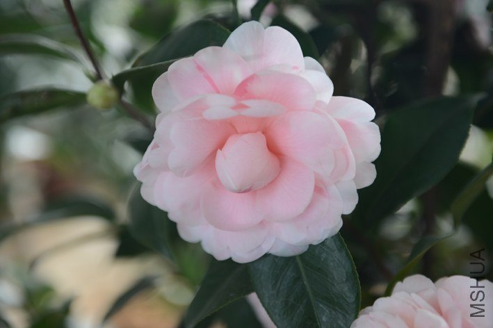 DSC_0396.JPG