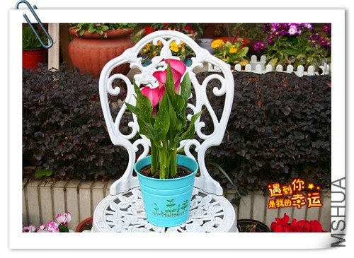 ��Ƭ 047_����.jpg