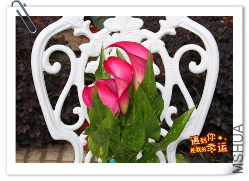 ��Ƭ 048_����.jpg