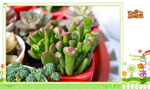 ��Ƭ 086_����.jpg