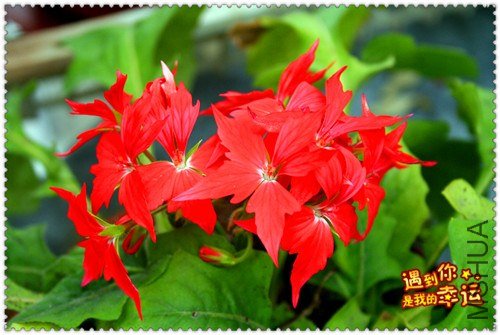 ��Ƭ 012_����.jpg