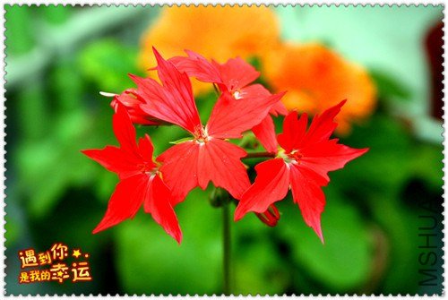 ��Ƭ 008_����.jpg