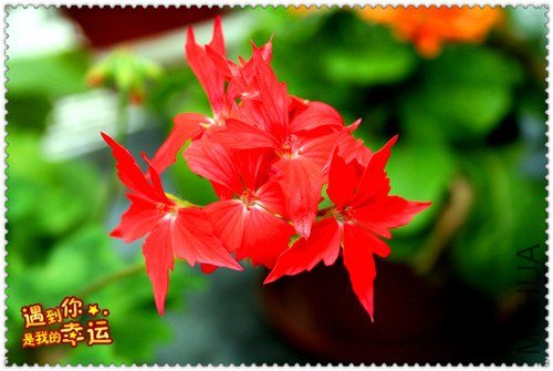 ��Ƭ 010_����.jpg