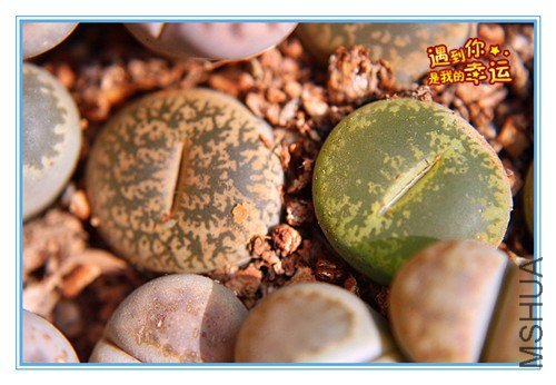 ��Ƭ 020_����.jpg