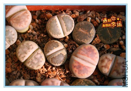 ��Ƭ 014_����.jpg