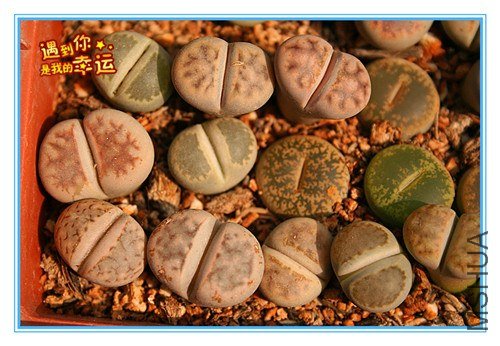 ��Ƭ 015_����.jpg