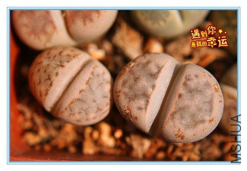 ��Ƭ 019_����.jpg