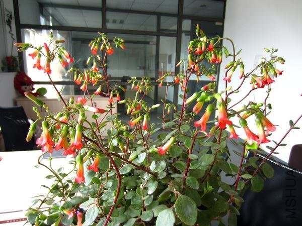 IMG_7697.jpg