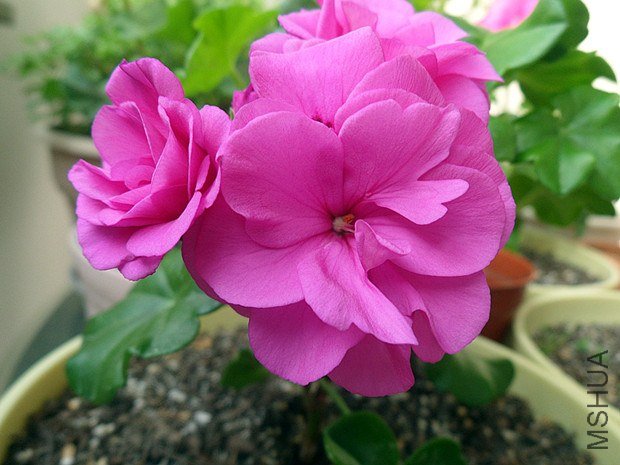 ��Ů��1.7 (1).jpg