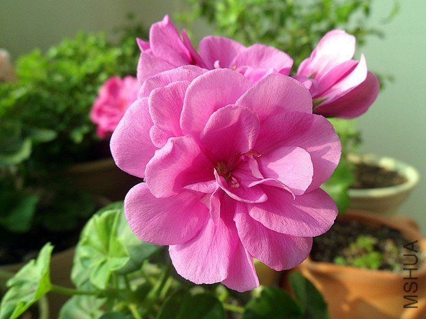 õ��1.11 (1)_����.jpg