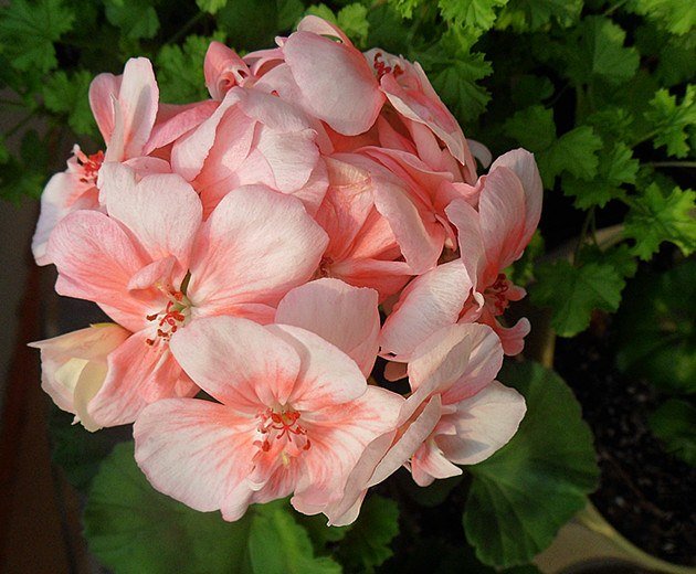 ɽ��1.11 (3)_����.jpg