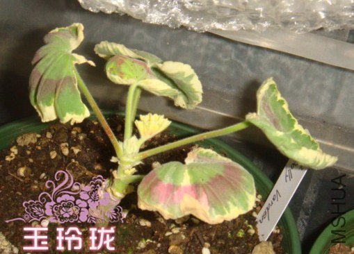 2013-1-13.JPG