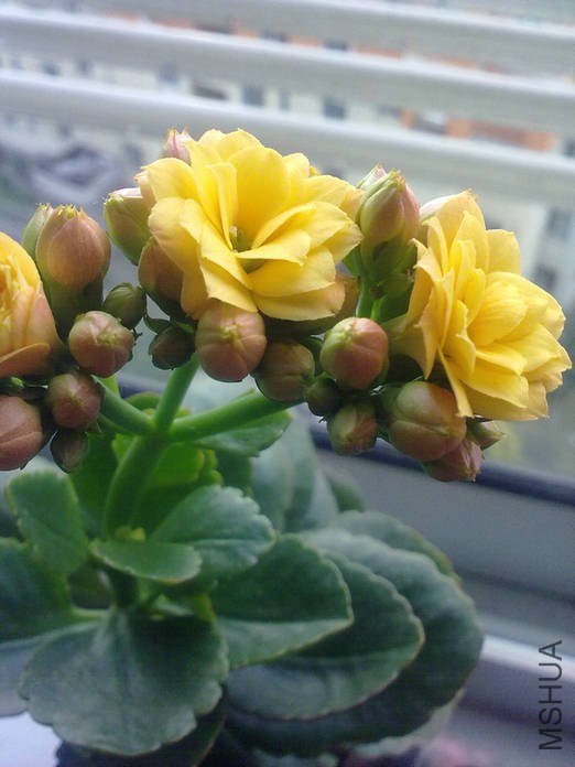 20121214522.jpg