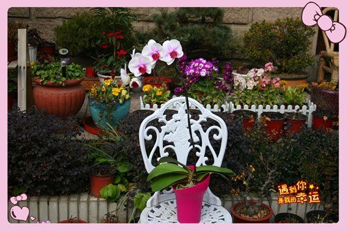 ��Ƭ 013_����.jpg