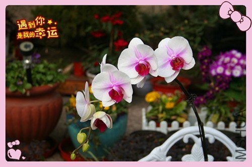 ��Ƭ 015_����.jpg