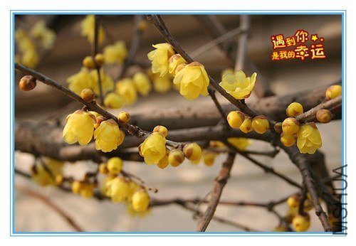 ��Ƭ 186_����.jpg