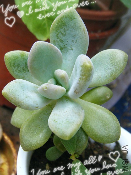 dscf7180_����.jpg
