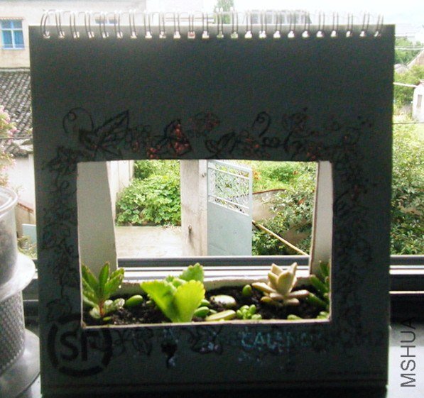 DSCF7226_����.jpg