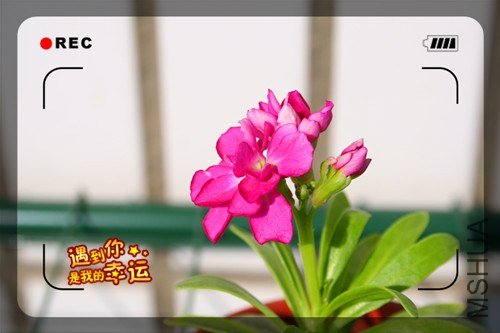 ��Ƭ 089_����.jpg