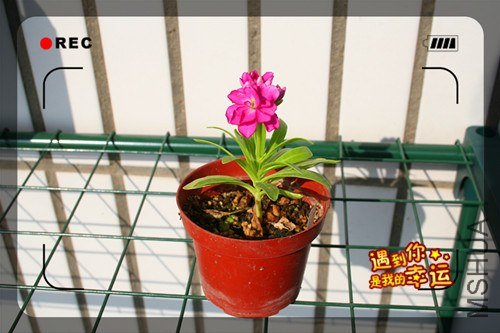 ��Ƭ 087_����.jpg