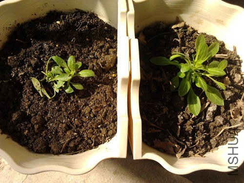 2013-01-18 12.22.26_����.jpg