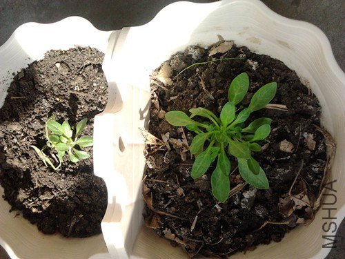 2013-01-18 12.22.46_����.jpg