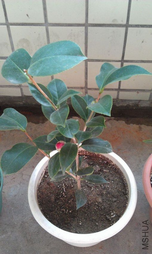 41.jpg