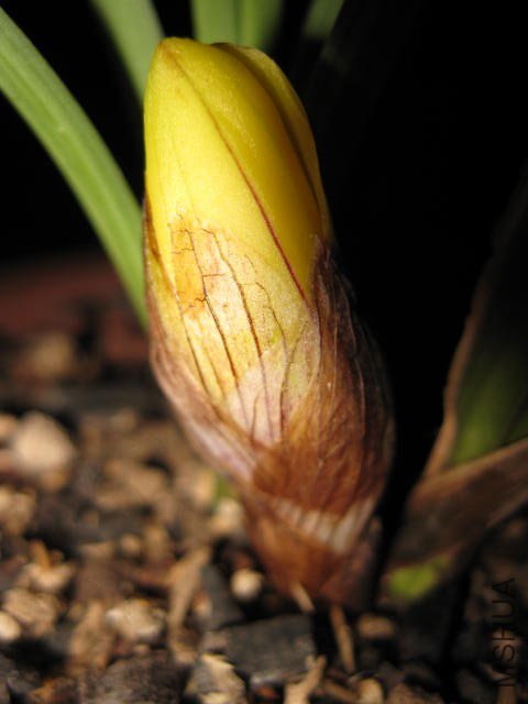 �ɰ�ƻ� (23).JPG