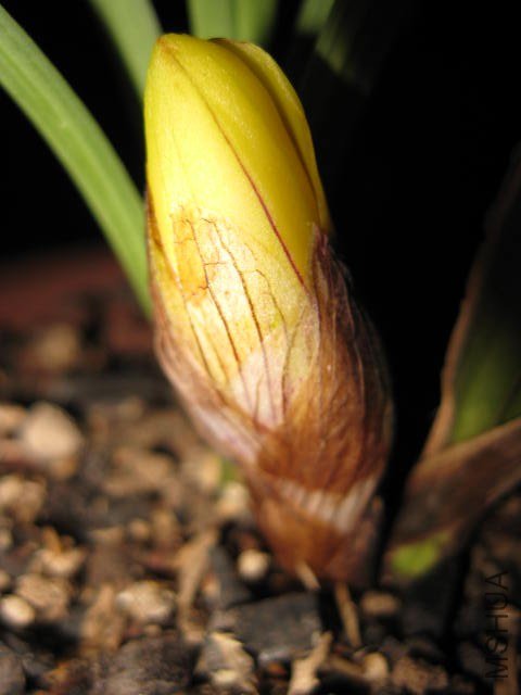 �ɰ�ƻ� (24).JPG