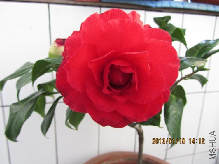 IMG_0284.JPG