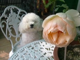 �Ա�һ�£��������Ҽҹ����������