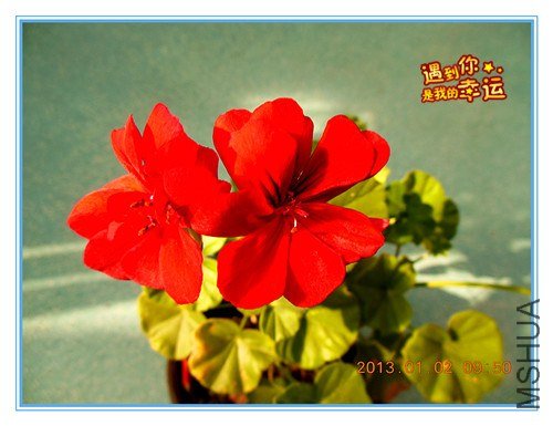 ��Ƭ 026_����.jpg