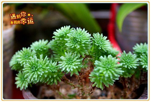 ��Ƭ 024_����.jpg